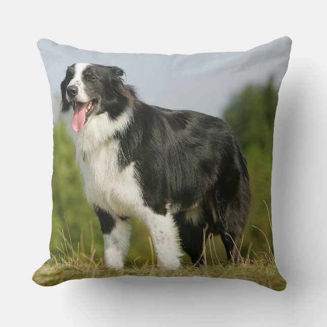 Almofada Border collie que arfa estar (Frente)
