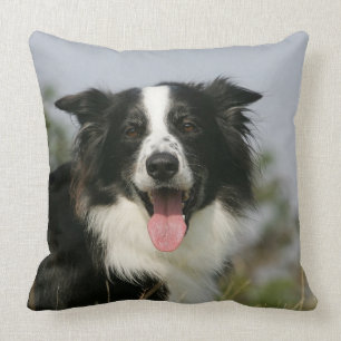 Almofada Border collie que arfa o Headshot 1