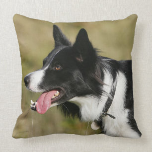 Almofada Border collie que arfa o Headshot 2