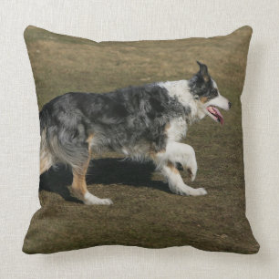 Almofada Border collie que funciona 1