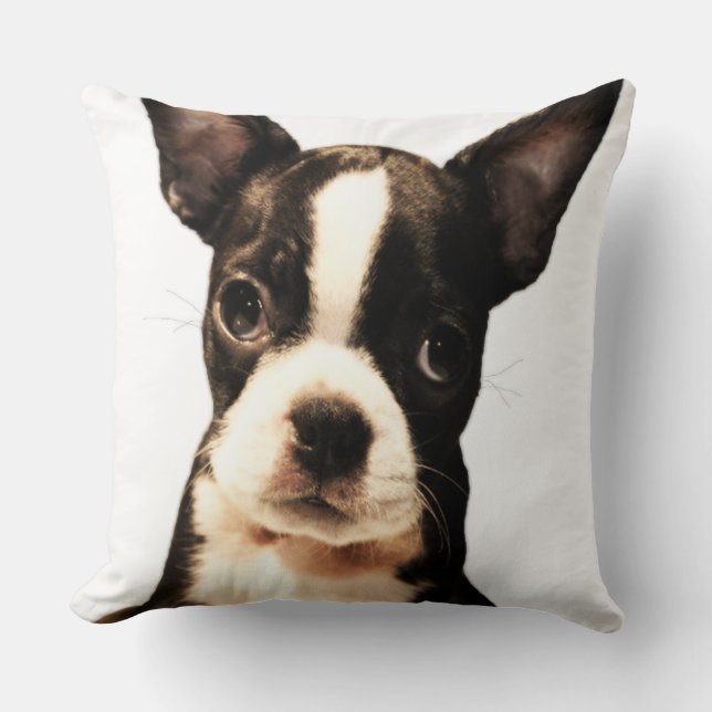 Almofada BoSTON TERRiER (Frente)