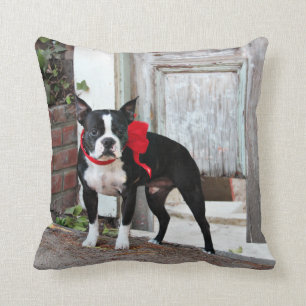 Almofada Boston Terrier - milhas