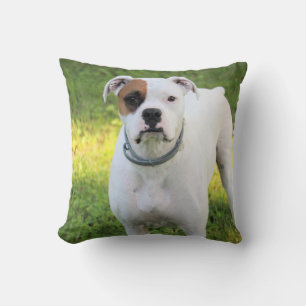 Almofada Boxer