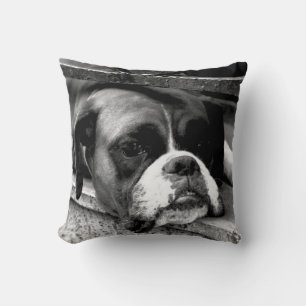 Almofada Boxer Dog On Windowsill tpcn