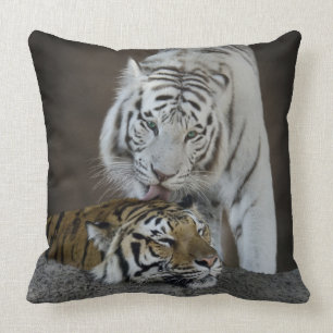 Almofada Branco e descanso dos tigres de Brown
