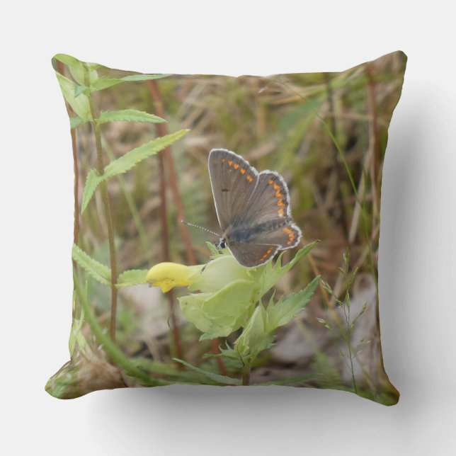 Almofada Brown Argus Butterfly Throw Pillow (Frente)