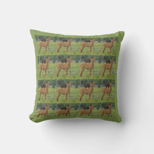 Almofada Brown Cria