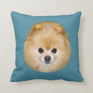Almofada Brown e cão branco de Pomeranian