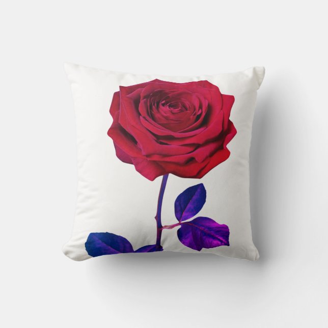 Almofada BuddhaToday V1 #44 Travesseiro de Paz 🌹 + Cotação (Frente)