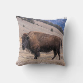 Almofada Buffalo Bison