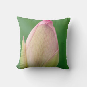 Almofada Bulbo de Lírio de Água Fechado, Jardim Botânico de