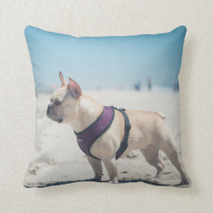 Almofada Buldogue francês na praia