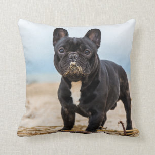 Almofada Bulldog Francês Brincando na Areia