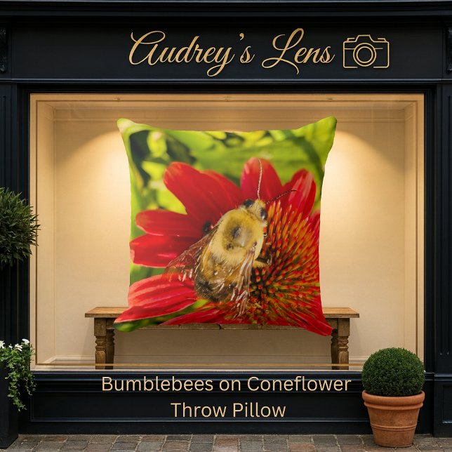 Almofada Bumblebee on Red Coneflower (Criador carregado)