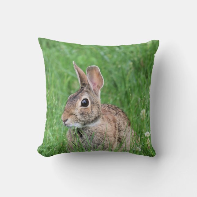 Almofada Bunny (Frente)