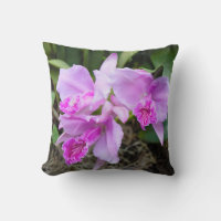 Buquê de Orquídeas Rosa