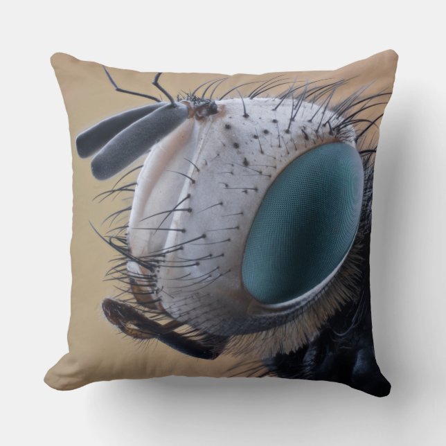 Almofada Cabeça de Inseto de Insetos de Fechamento (Frente)