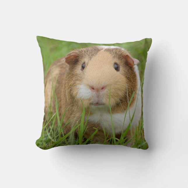 Almofada Cabelo Suave De Três Cores Pet Guiné Pig (Frente)