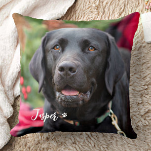 Almofada Caça tardia da temporada - Preto Lab - Labrador
