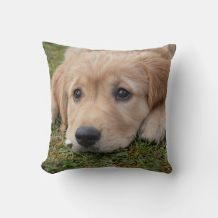 Almofada Cachorrinho Fofo