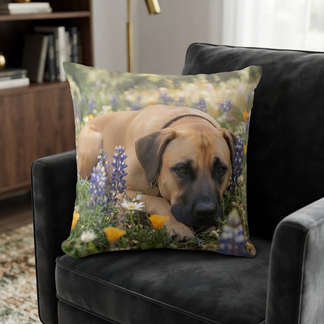 Almofada Cachorro Black Mouth Cur (Criador carregado)