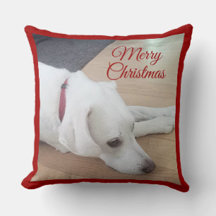 Almofada Cachorro bonito Vestindo Red Collar Natal