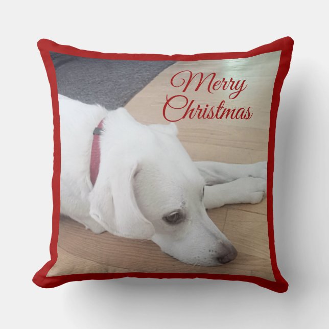 Almofada Cachorro bonito Vestindo Red Collar Natal (Frente)