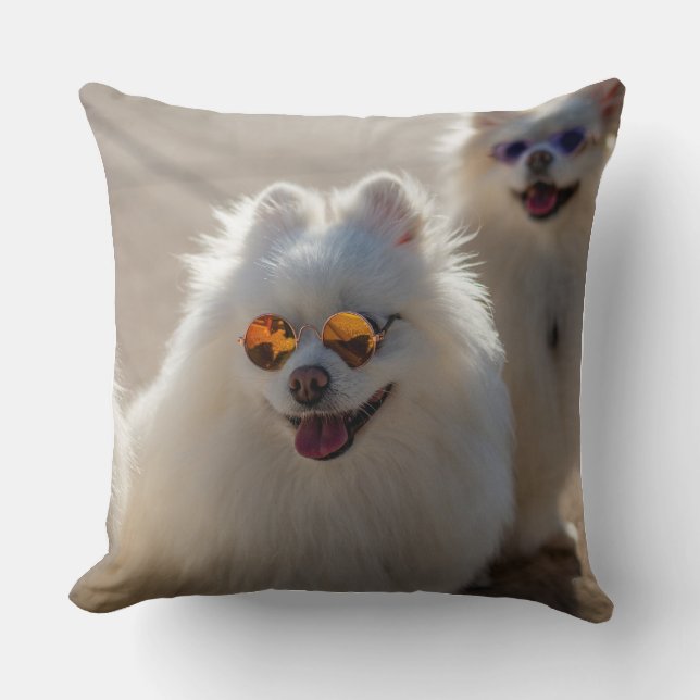 Almofada Cachorro Branco Fofo e Divertido com Óculos de Sol (Frente)