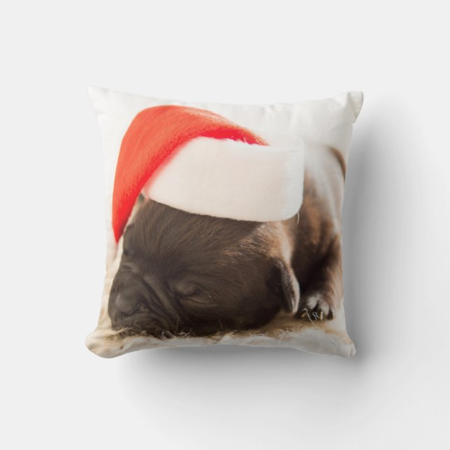 Almofada Cachorro com Boné de Ano novo (Frente)