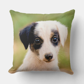 Almofada Cachorro Fofo