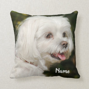 Almofada Cachorro Mole Branco Personalizado Maltês