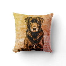 Cachorro Negro-Labrador Cachorro-Bonito