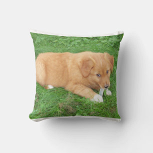 Almofada cachorro nova scotia duck tolling retriever
