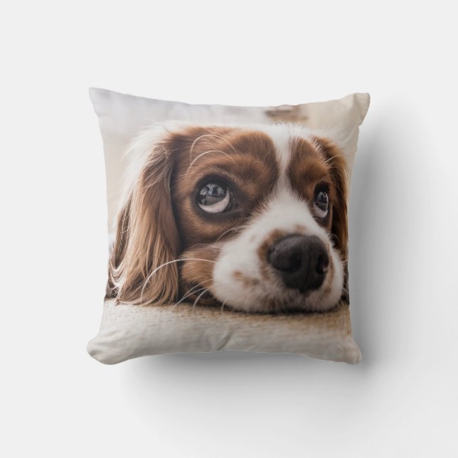 Almofada Cachorro Panelado De Olhos Tristes (Frente)