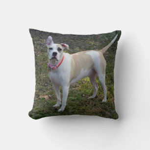 Almofada Cachorro Personalizável e citação de Emily Dick