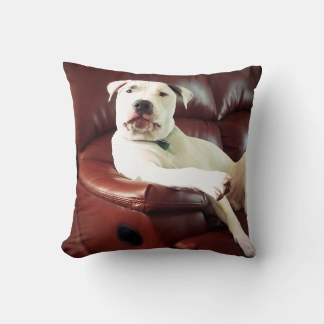 Almofada cachorro pit bull branco engraçado no sofá (Frente)