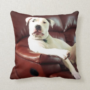 Almofada cachorro pit bull branco engraçado no sofá