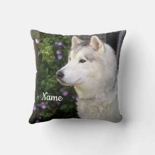 Almofada Cachorro-Pupppy Siberian Husky