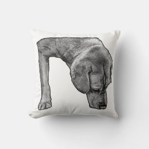 Almofada Cadeira Louca, Escoteiro Dotty