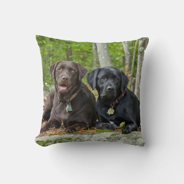 Almofada Cães Cachorros Cachorros Puppies Black Lab Chocola (Frente)