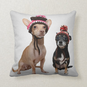 Almofada Cães da chihuahua com foto dos chapéus