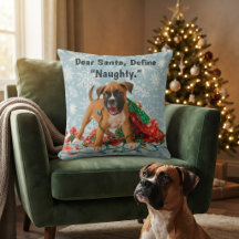 Caixa de Natal Engraçado 