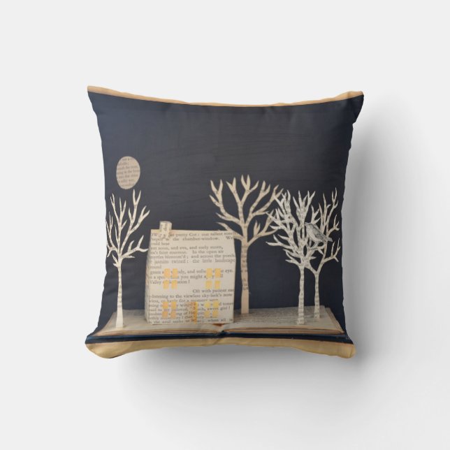 Almofada Caixa leve 2012 da casa de campo (Frente)