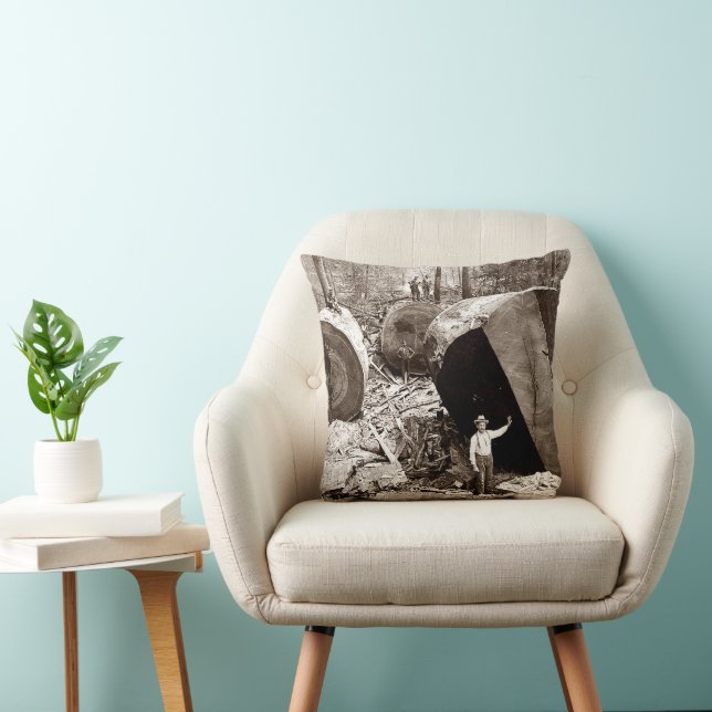 Almofada California Lumberjacks ao lado de Fallen Redwood 1 (Cadeira)