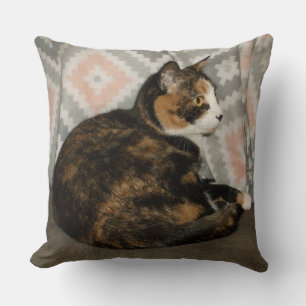 Almofada Callie Cat em Sofa