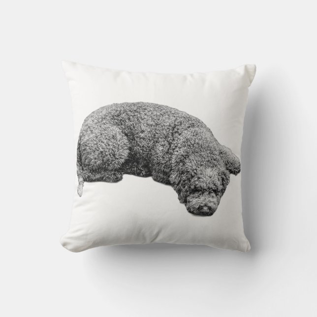 Almofada Calma de Colheita à Noite (Frente)