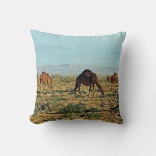 Almofada Camelos, Tunísia