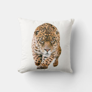 Almofada Caminhando Olhos de Jaguar