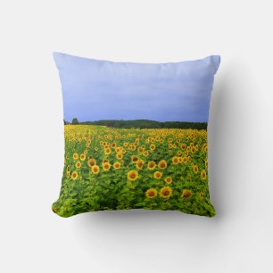 Almofada Campo de Sunflower