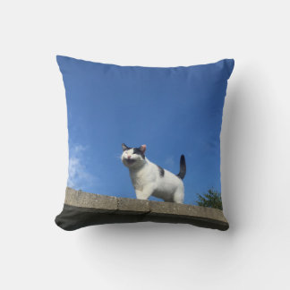 Almofada Cantando 歌 Gato Cushion う 猫 ク ョ ン.